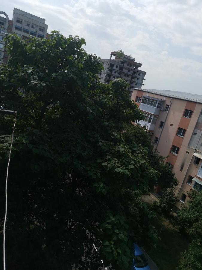 Bloom Box Apartments Craiova Exterior foto